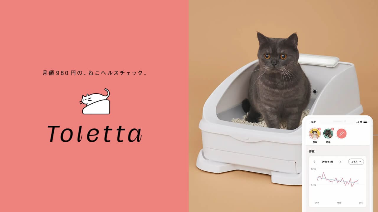 株式会社トレッタキャッツ